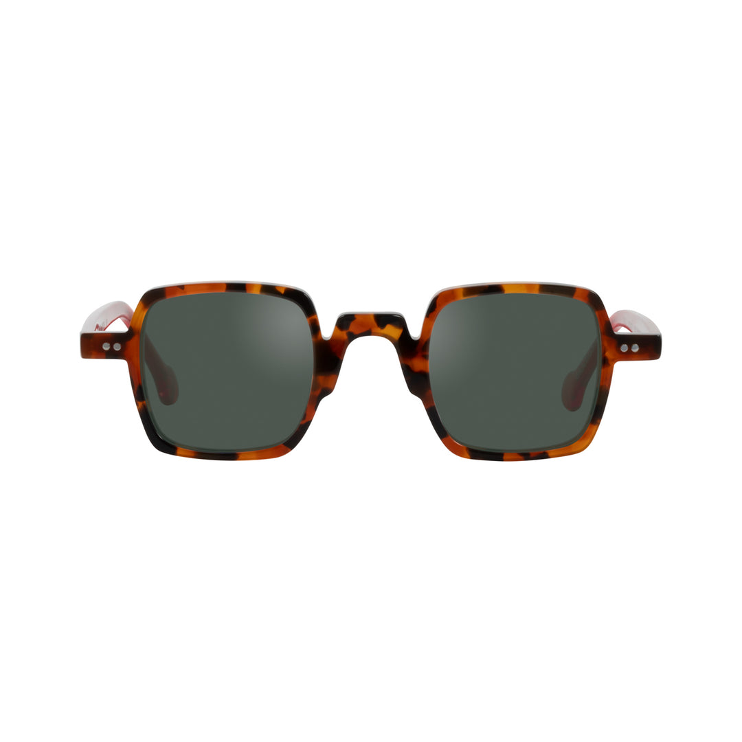 ETHAN CHERRY TORTOISE