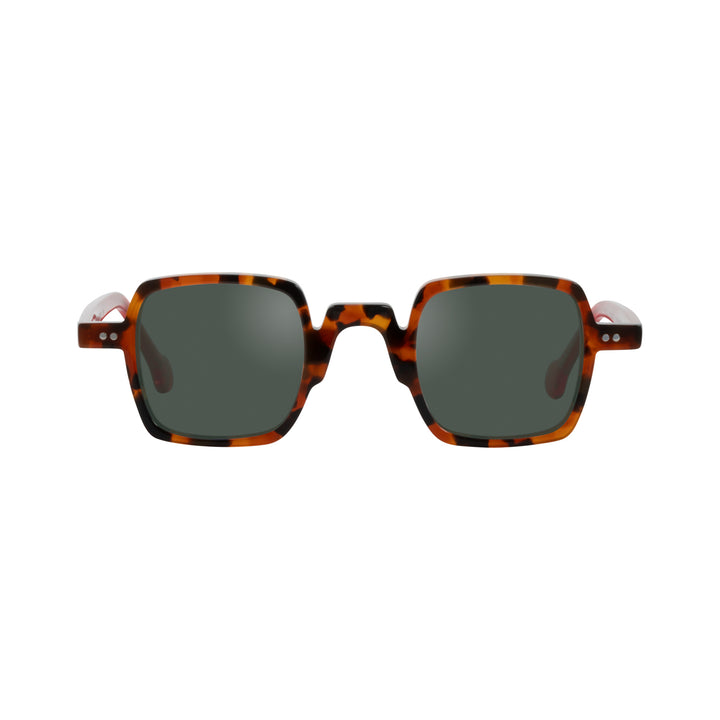 ETHAN CHERRY TORTOISE