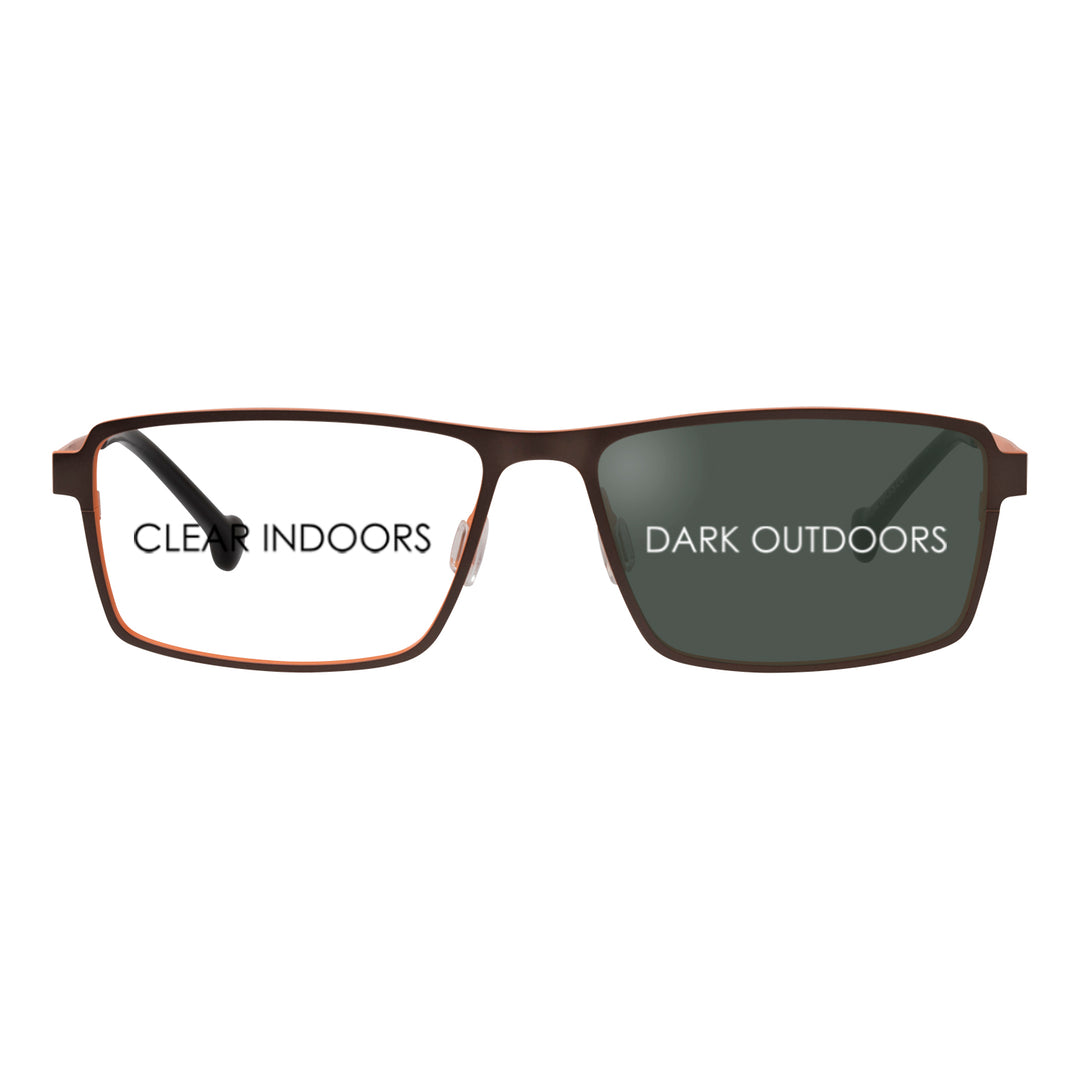 WINSTON GRAYWOOD ORANGE